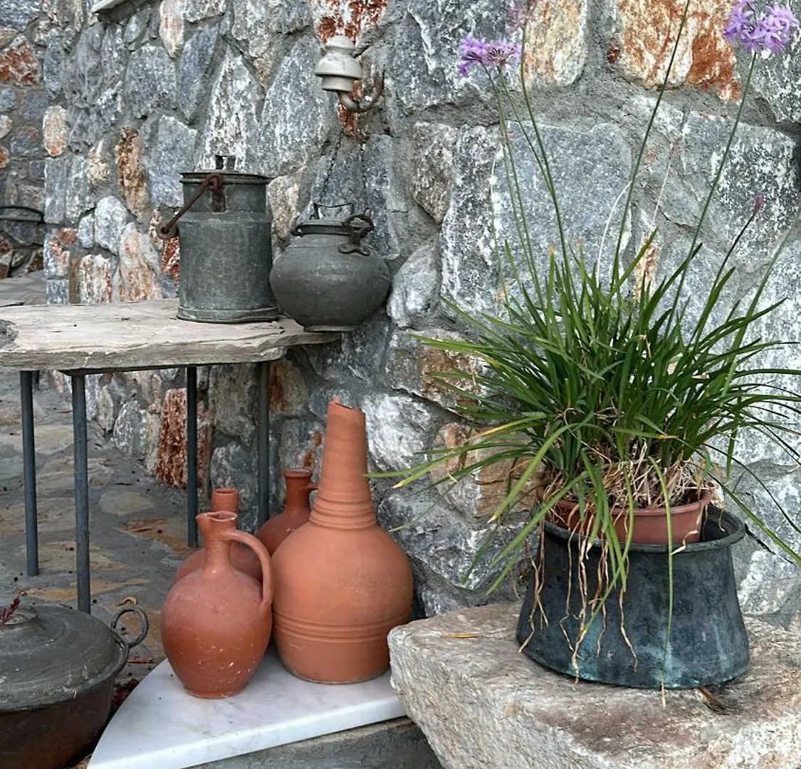 Amos Sea View Villa Marmaris