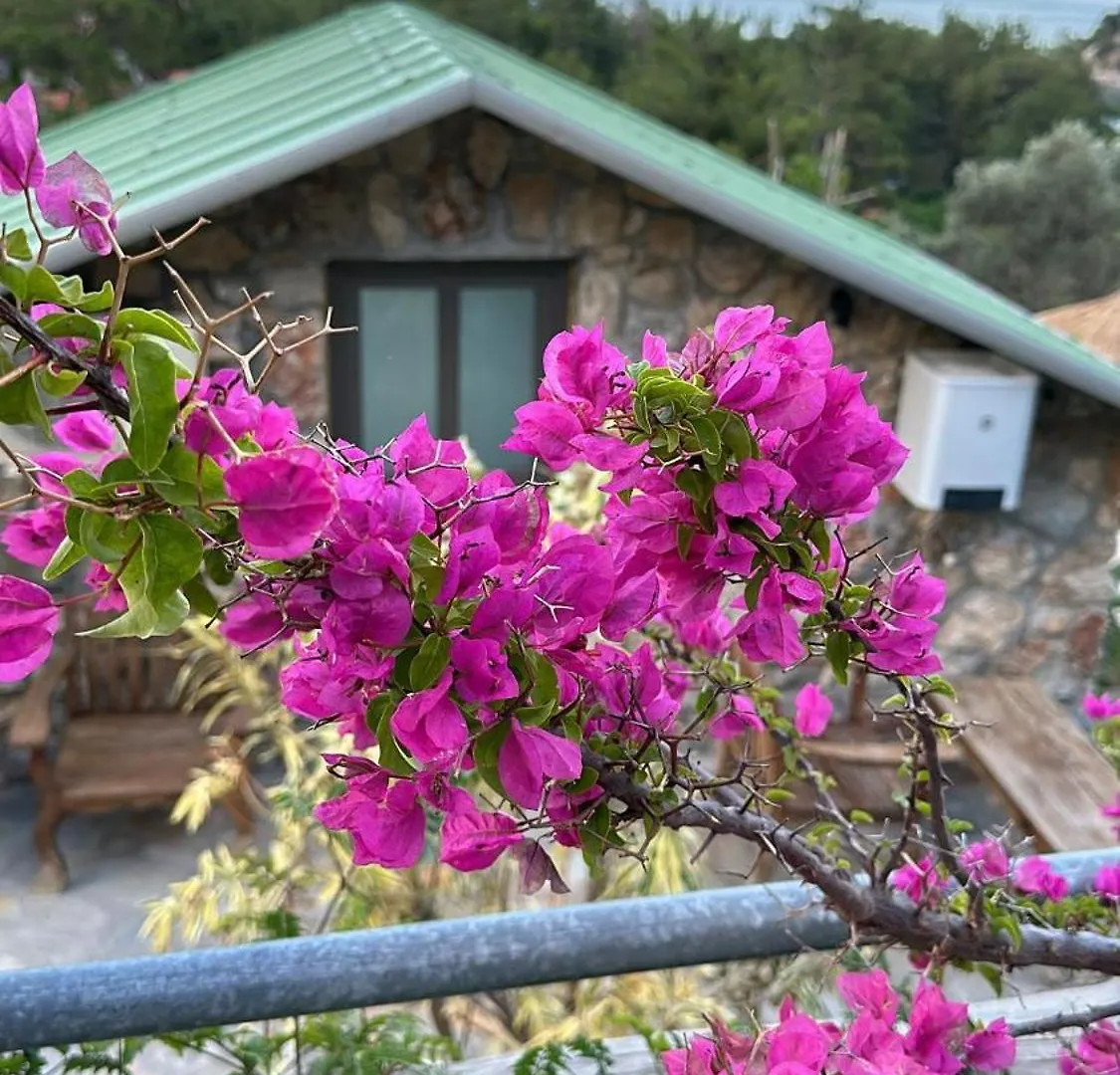 Amos Sea View Villa Marmaris